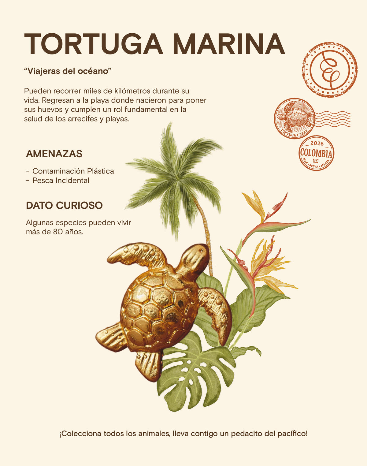 Set de 3 Pines Chocó