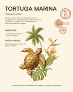 Set de 3 Pines Chocó